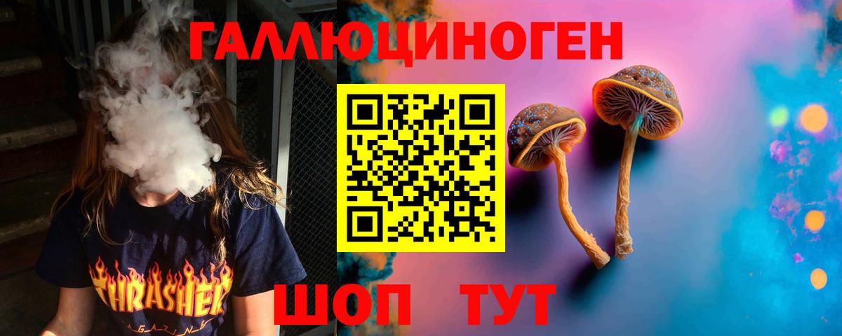Галлюциногенные грибы MAGIC MUSHROOMS  Вход с VPN  купить наркотик  Котлас 